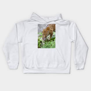 Stalking Jaguar - Costa Rica Kids Hoodie